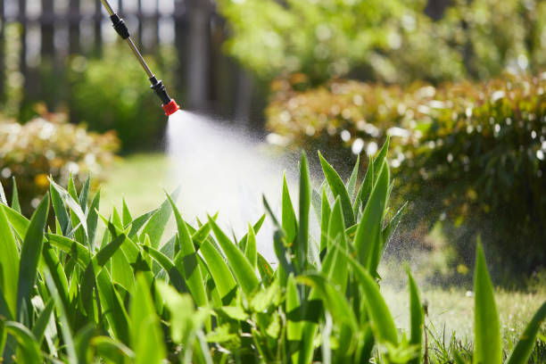 Tamper-Resistant Bait Stations for Rodents in Lake Riverside