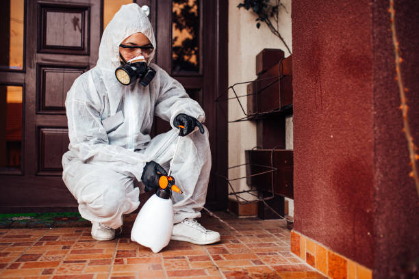 Attic and Crawl Space Rodent Treatment in Lake Riverside